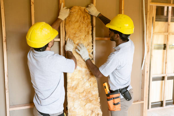 Best Insulation Inspection Services  in Ruthers, CA